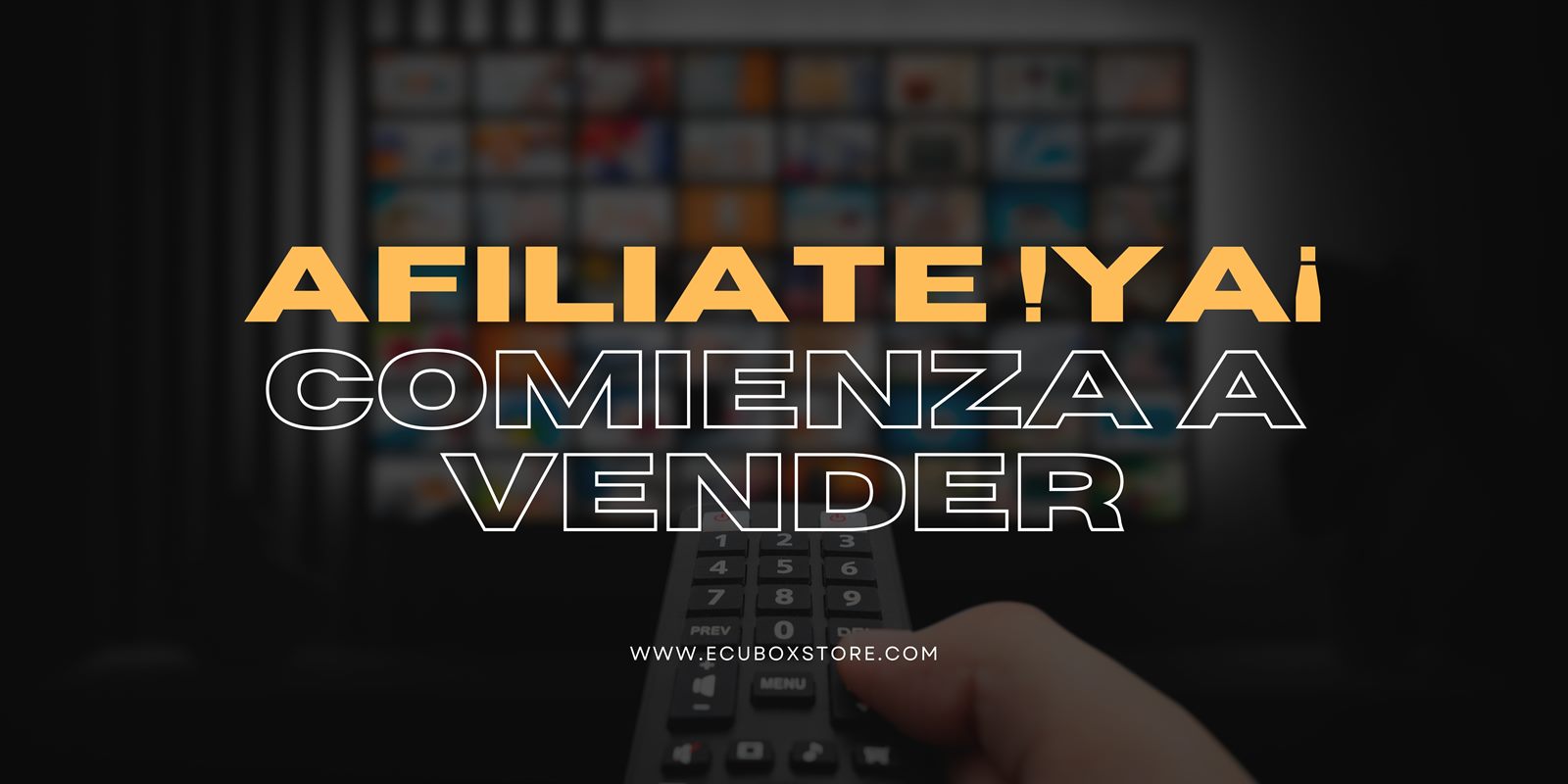 Panel de ventas de EcuBoxStore